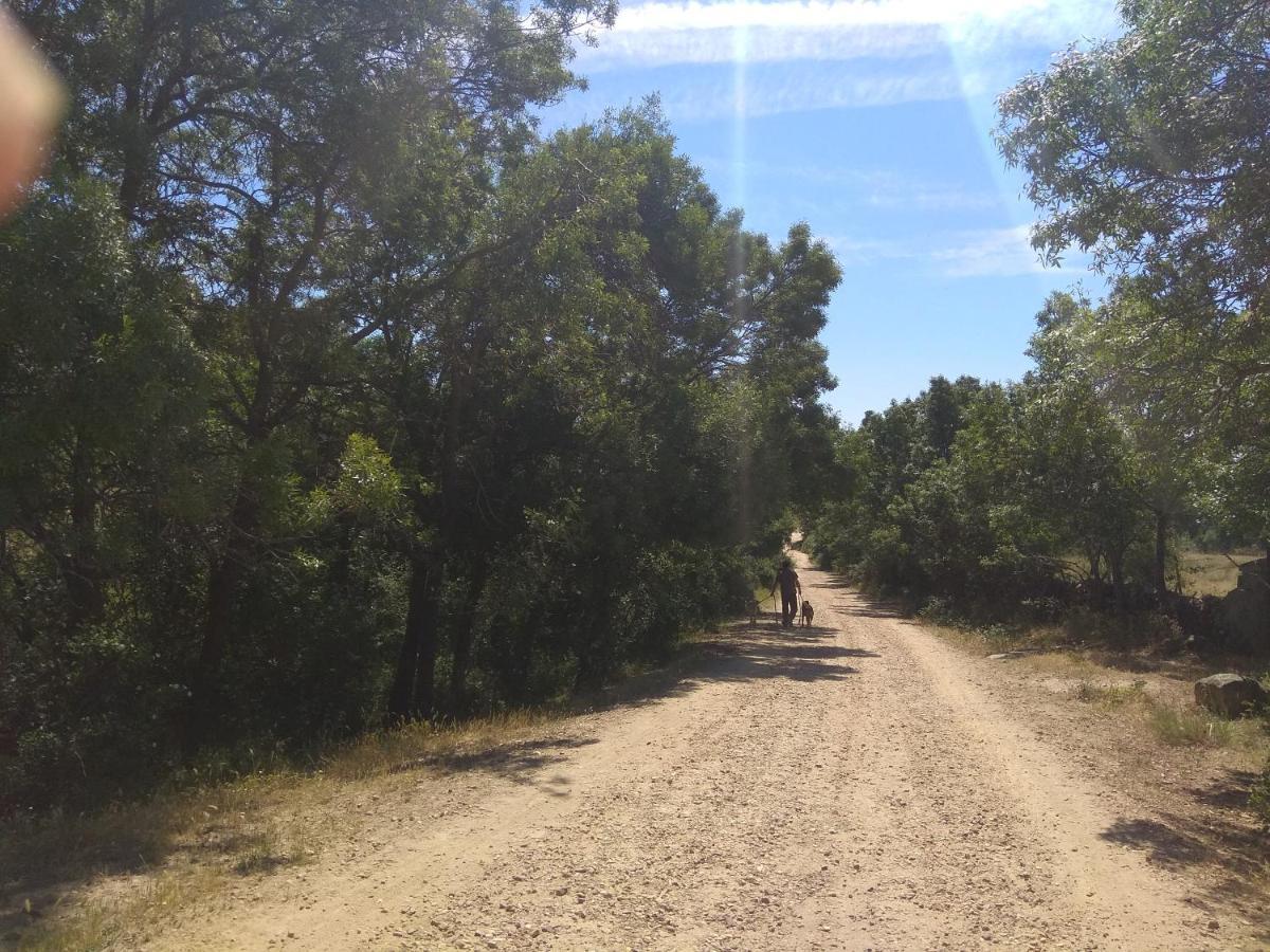 Acogedora Casa Rural En La Sierra De Madrid มาตาเอลปิโน ภายนอก รูปภาพ