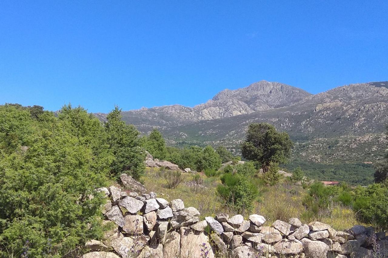 Acogedora Casa Rural En La Sierra De Madrid มาตาเอลปิโน ภายนอก รูปภาพ